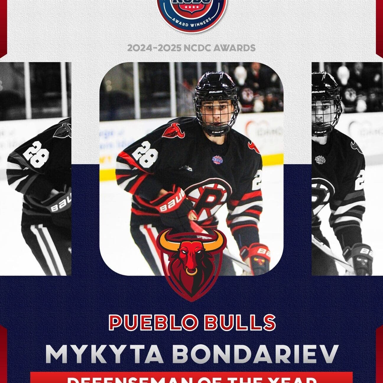 BondarievAwards