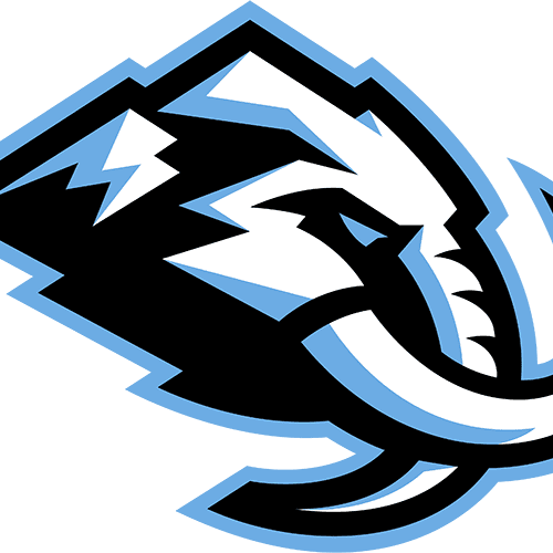 http://usphl.com/wp-content/uploads/2025/03/cropped-usphl_final_Final.png
