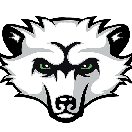 P-A Bearcat Logo