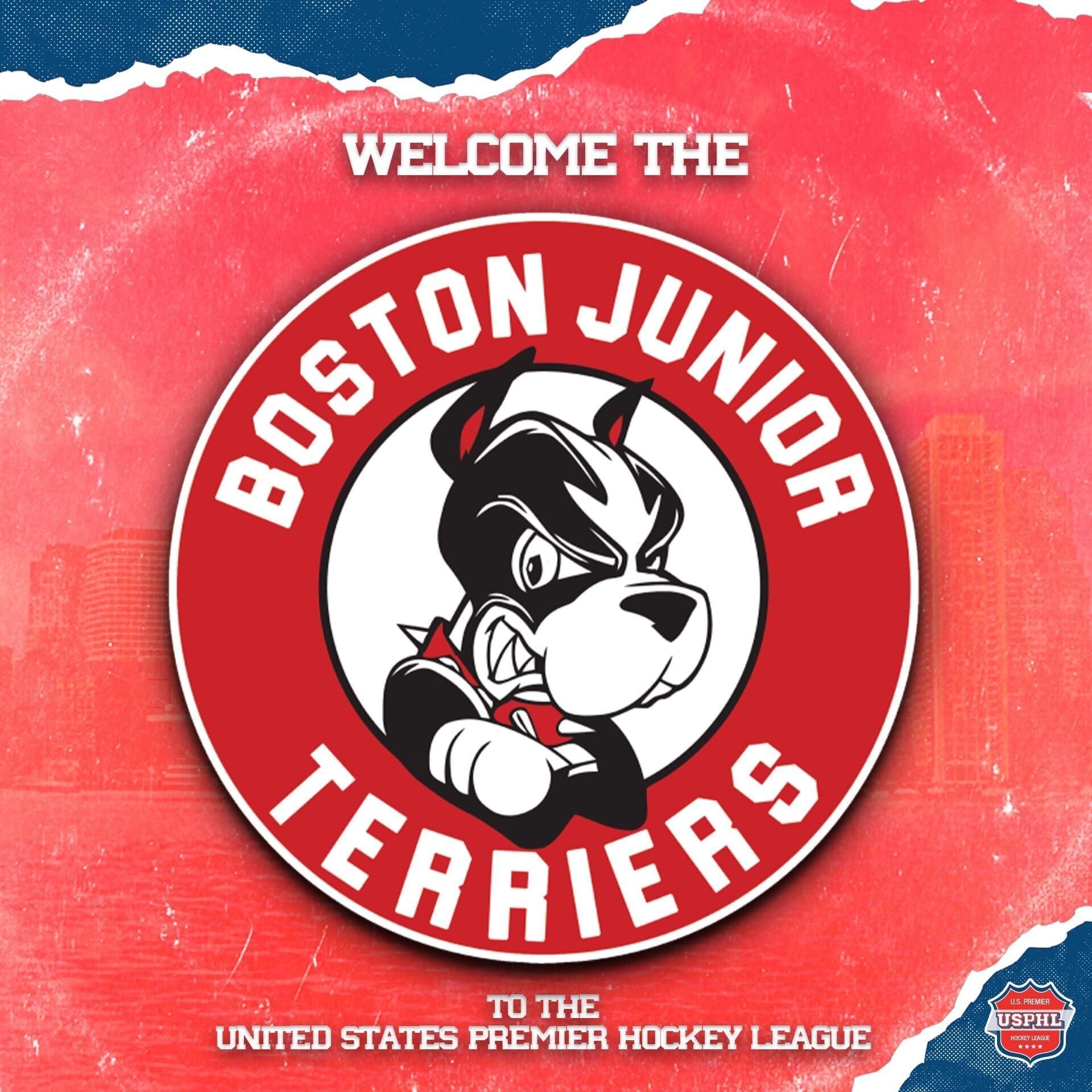 Welome_Boston Jr. terriers